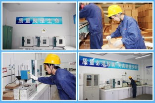 海螺耐火材料公司 服务水泥主业，打造行业精品耐火材料